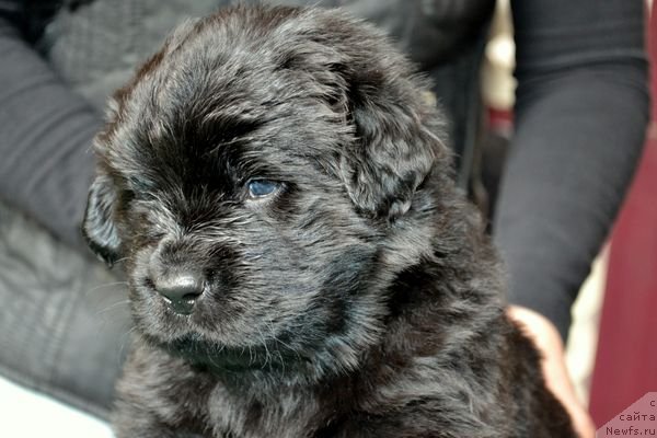 Фотография № 151870