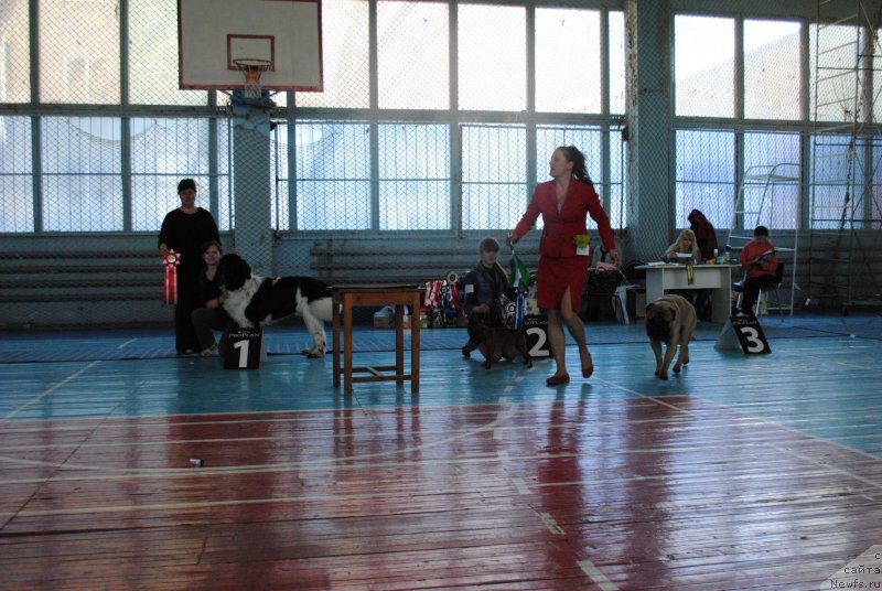 Фотография № 151885