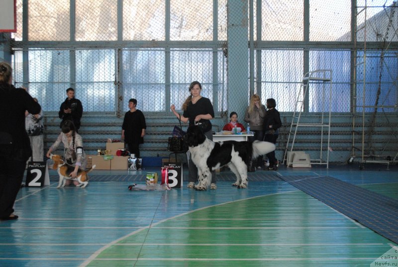 Фотография № 151887