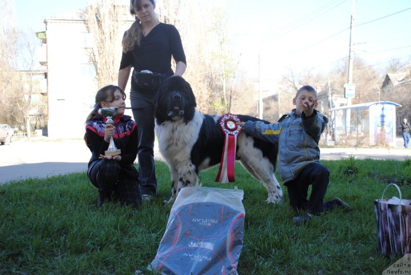 Фотография № 151888