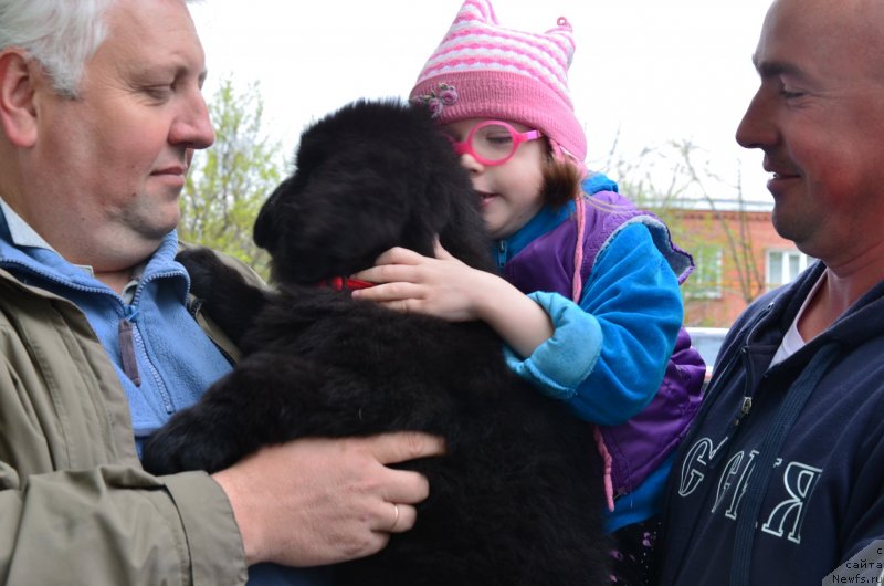 Фотография № 151890