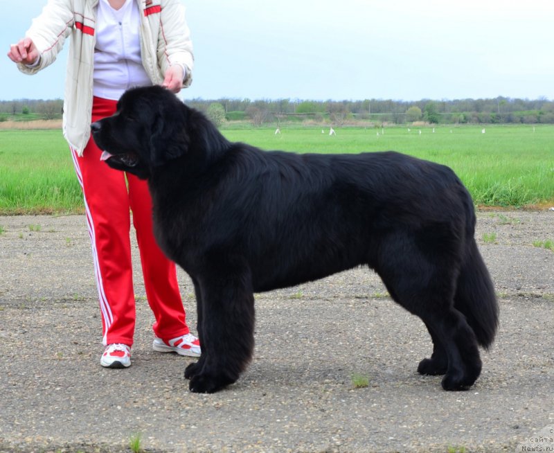 Фотография № 151894