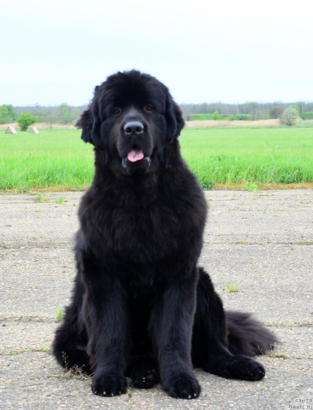 Фотография № 151897