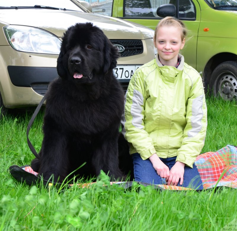 Фотография № 151899