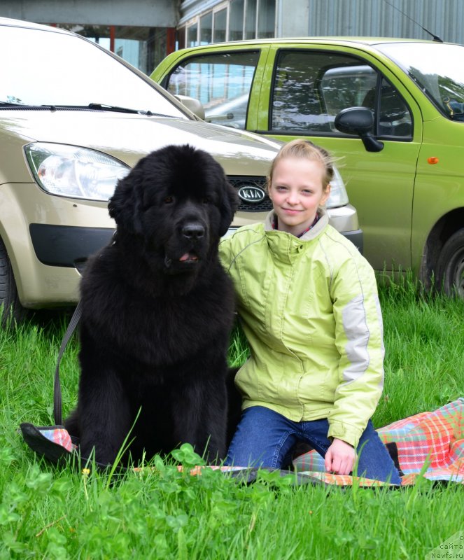 Фотография № 151900