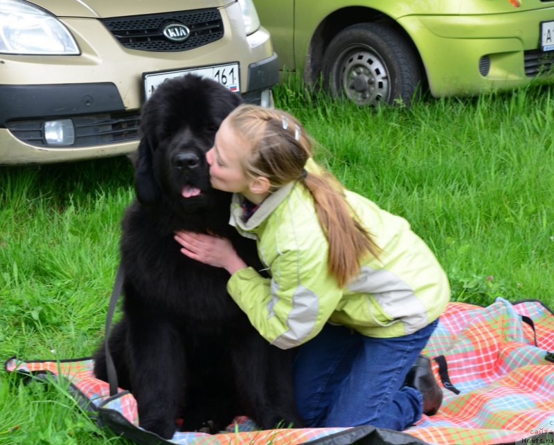 Фотография № 151925