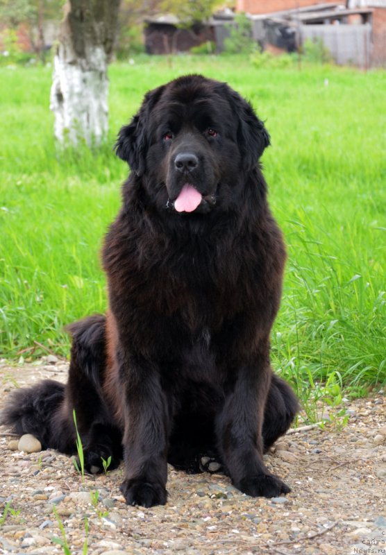 Фотография № 151928