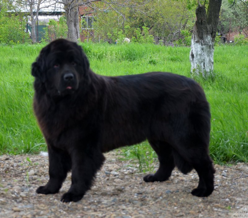 Фотография № 151930