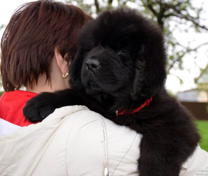 Фотография № 151935