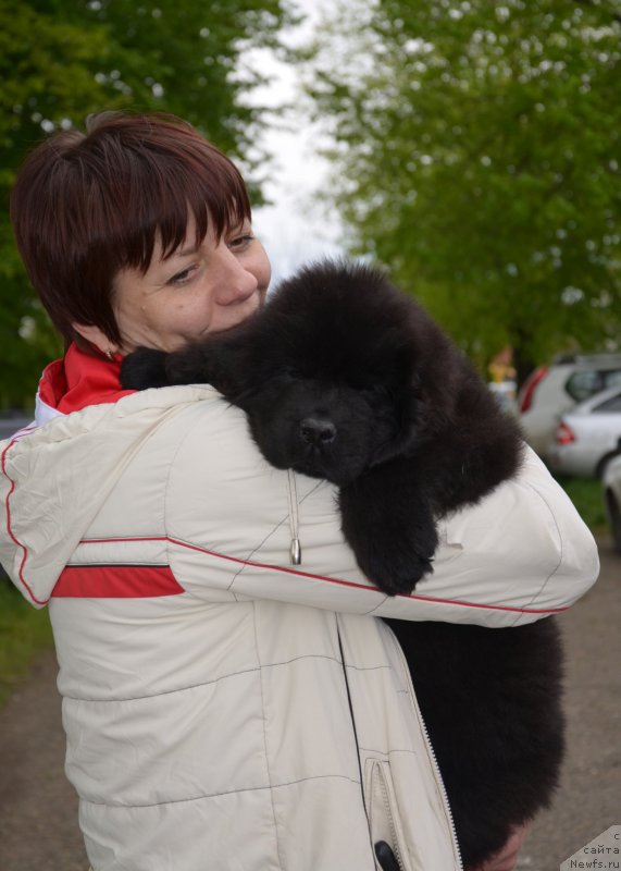 Фотография № 151938