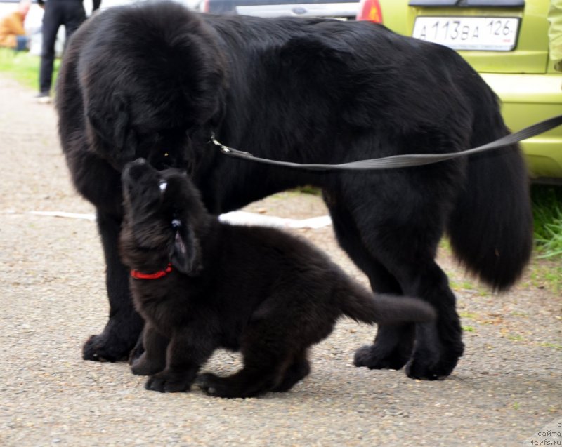 Фотография № 151943