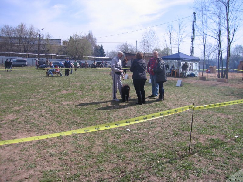 Фотография № 151946