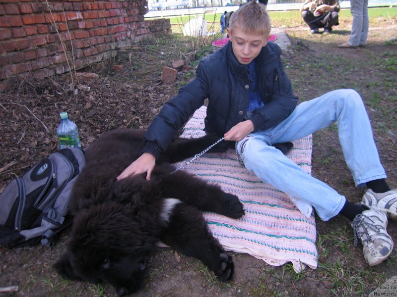 Фотография № 151947