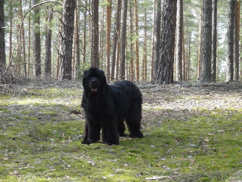 Фотография № 151956