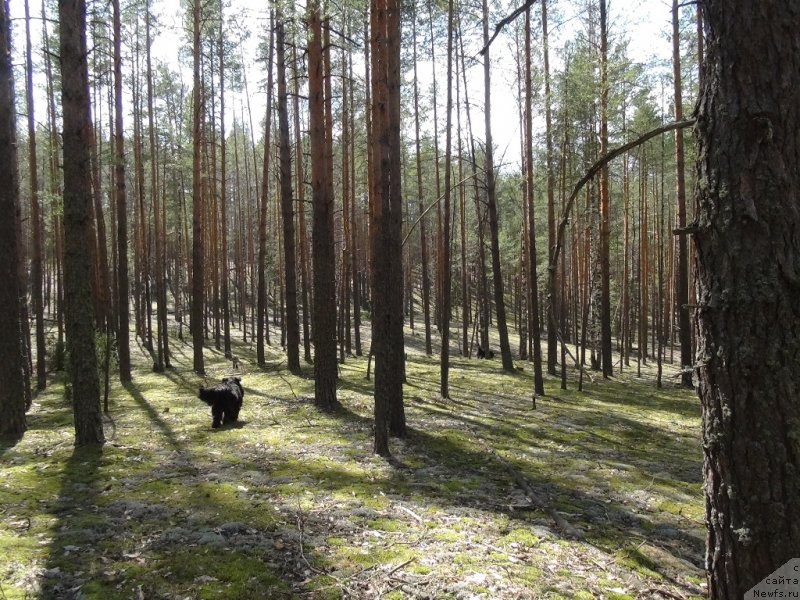 Фотография № 151960