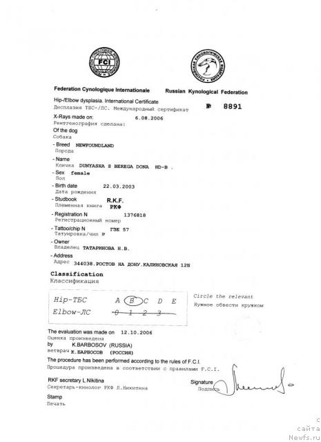 Фото: ньюфаундленд Дуняша с Берега Дона (Dunyasha s Berega Dona)