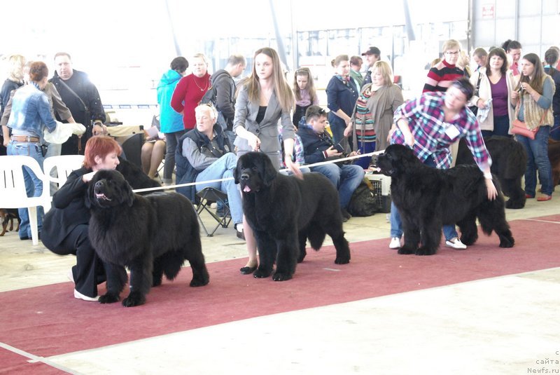 Фотография № 151987