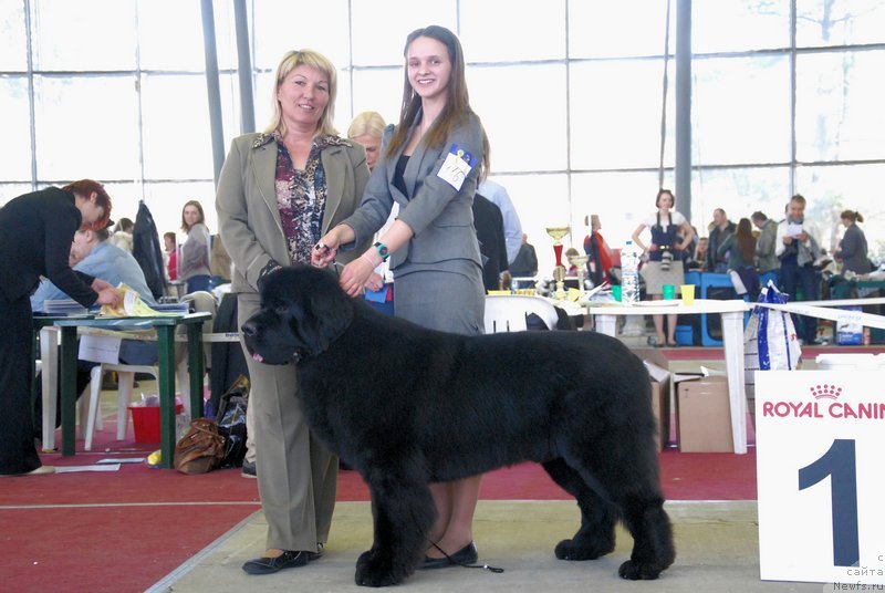 Фотография № 151988