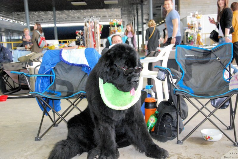 Фотография № 151991