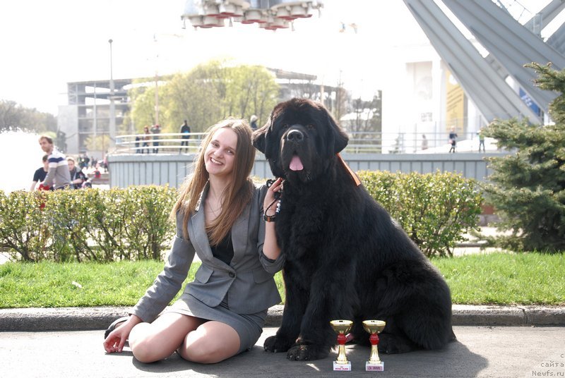 Фотография № 151993