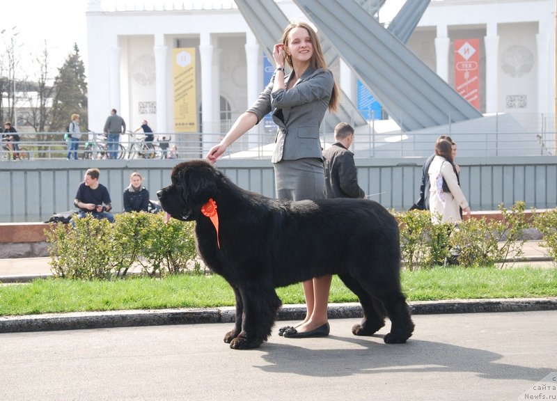 Фотография № 151994