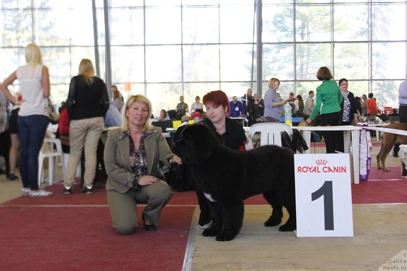 Фотография № 152008