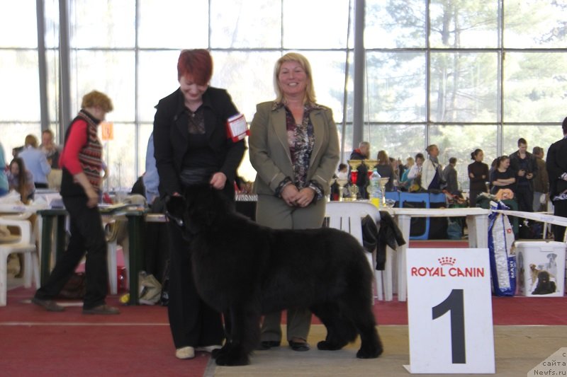 Фотография № 152009