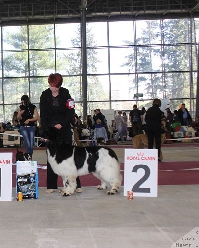 Фотография № 152015