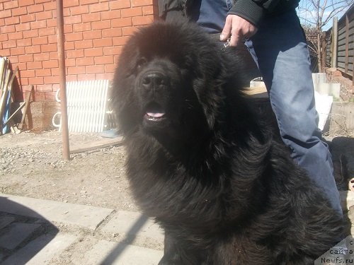 Фотография № 152021