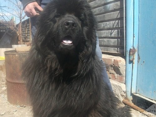 Фотография № 152023