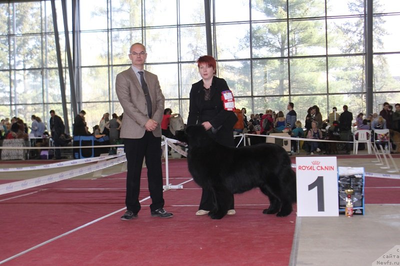 Фотография № 152025