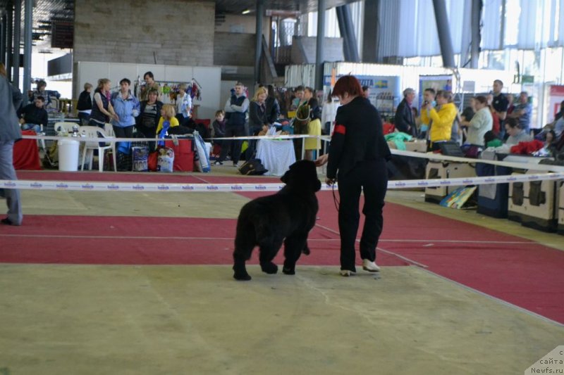 Фотография № 152042