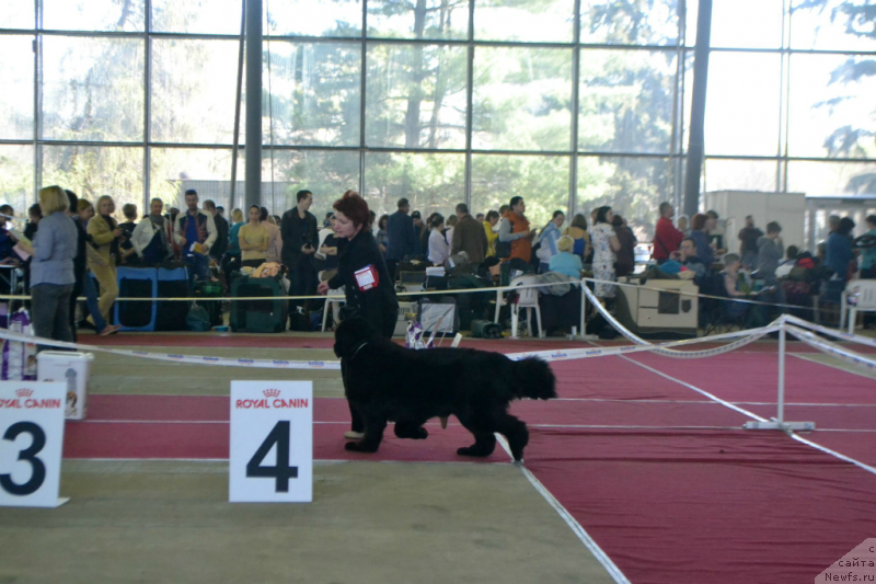 Фотография № 152044