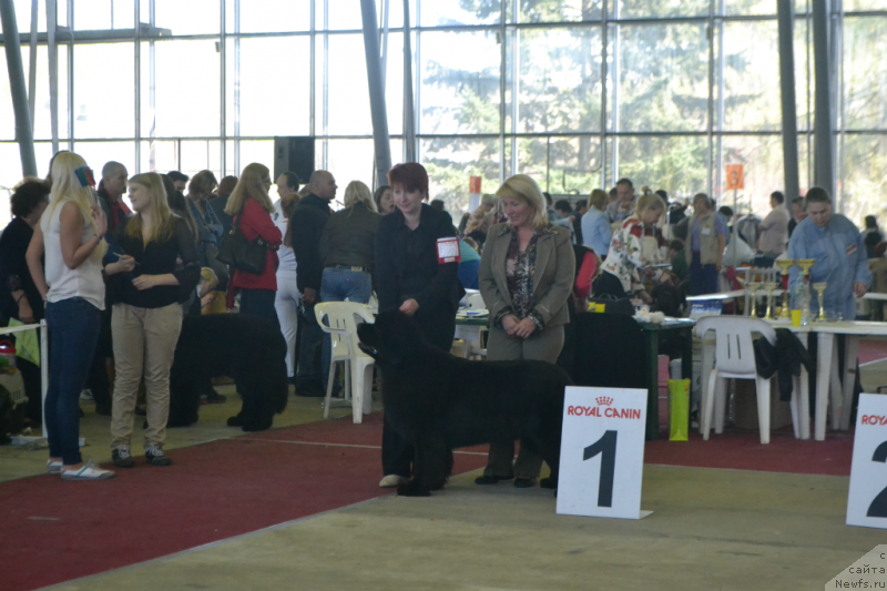 Фотография № 152045