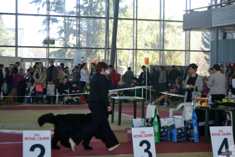 Фотография № 152046