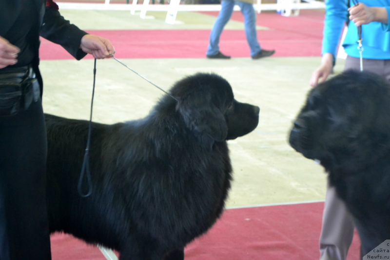 Фотография № 152047