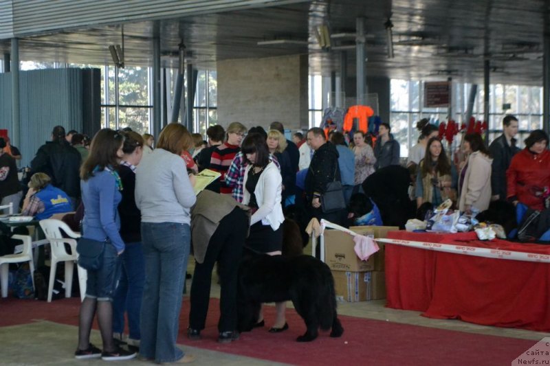 Фотография № 152048