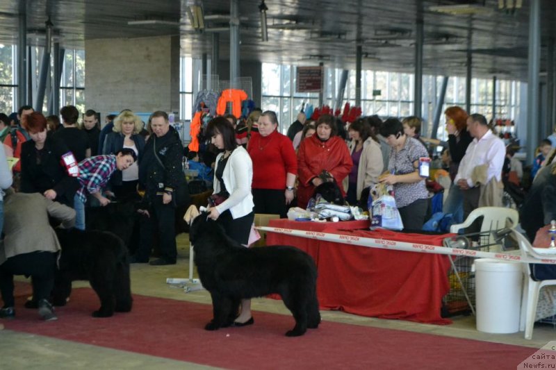 Фотография № 152049