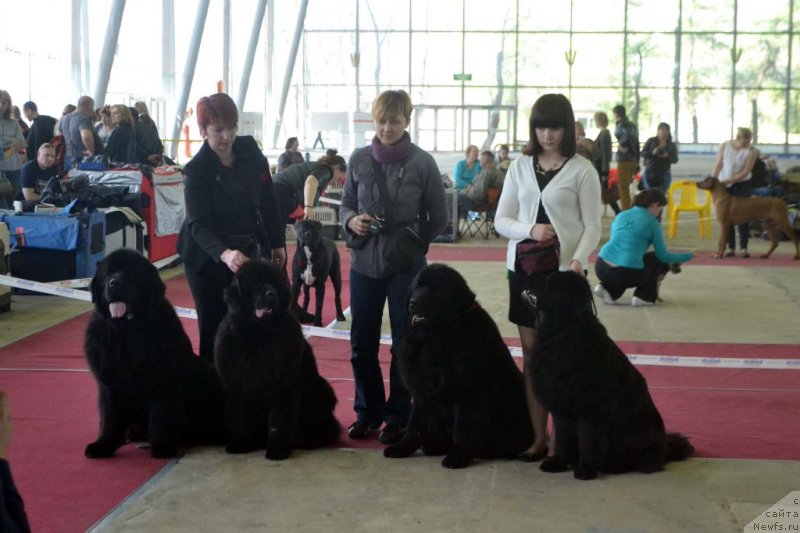 Фотография № 152050