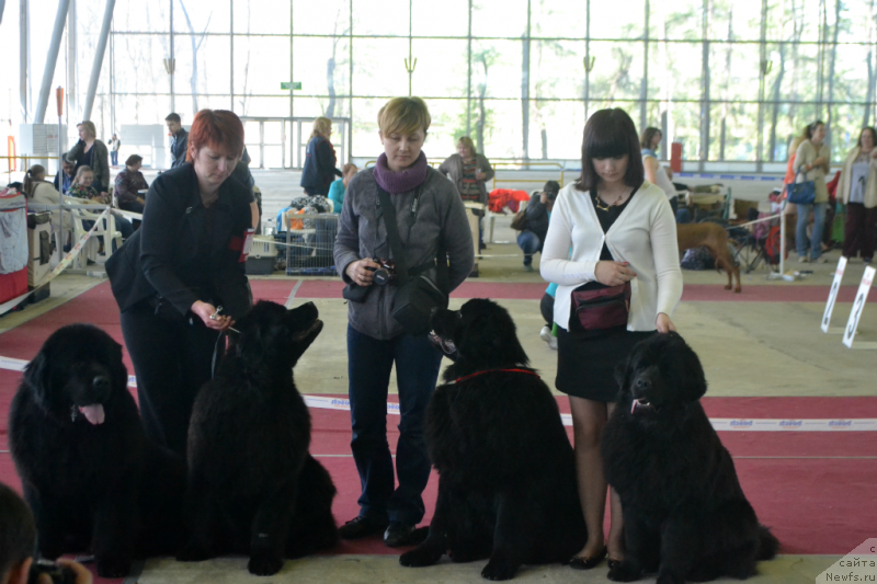 Фотография № 152051