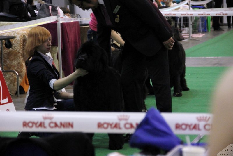 Фотография № 152061