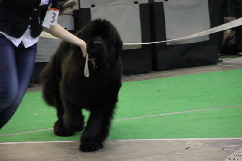 Фотография № 152064