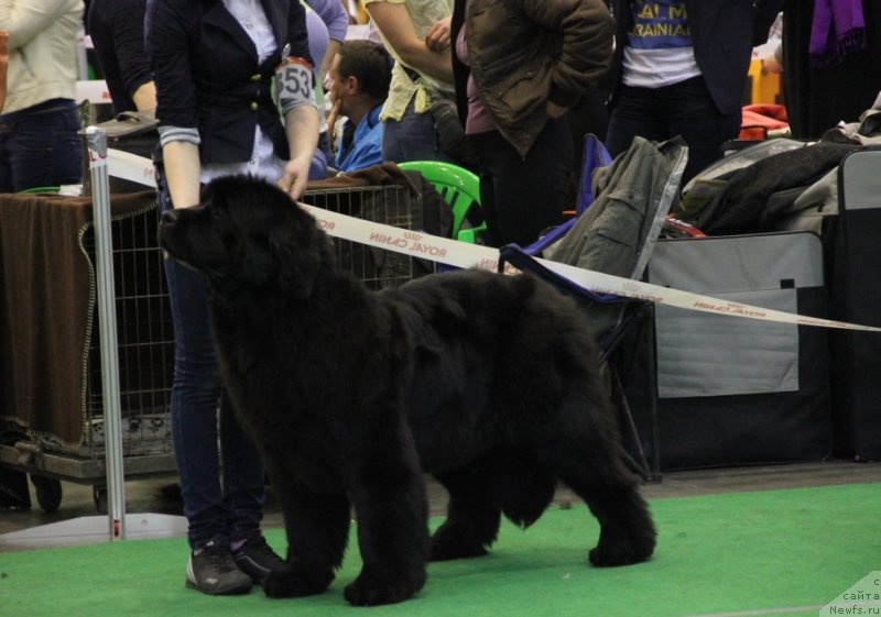 Фотография № 152068