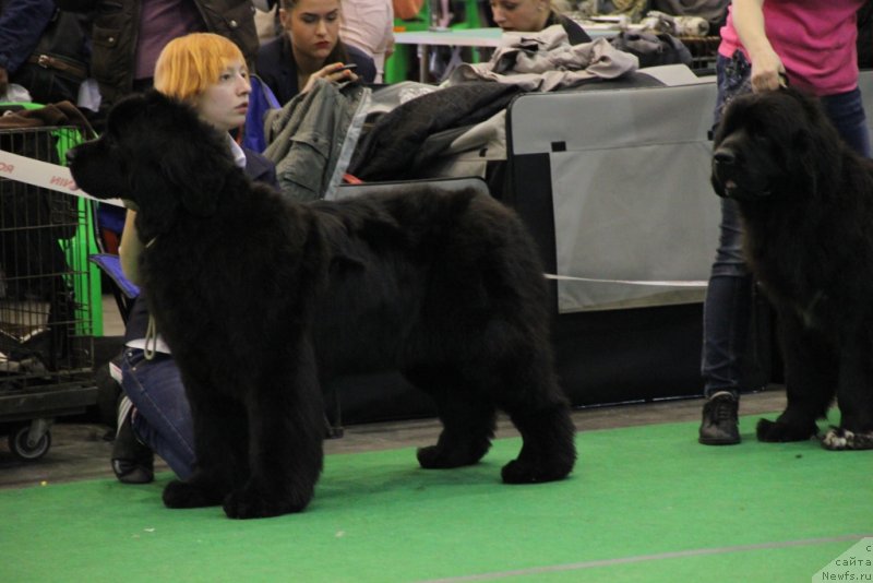 Фотография № 152069