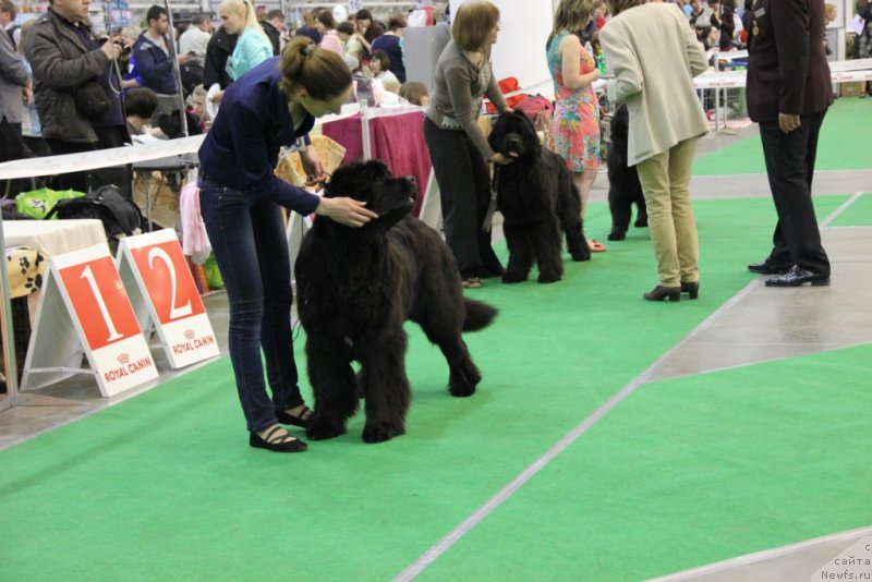 Фотография № 152071