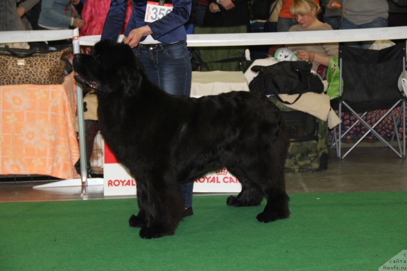 Фотография № 152074