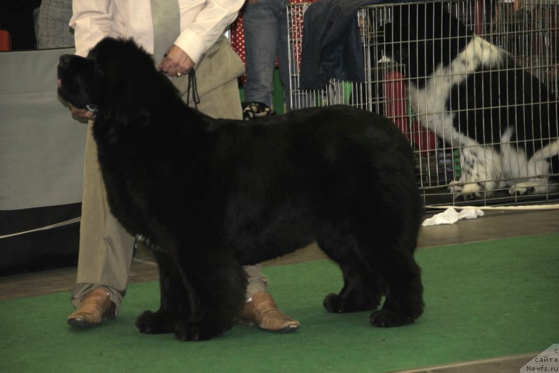 Фотография № 152078