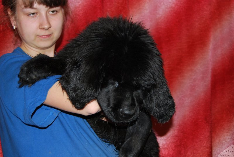 Фотография № 152079