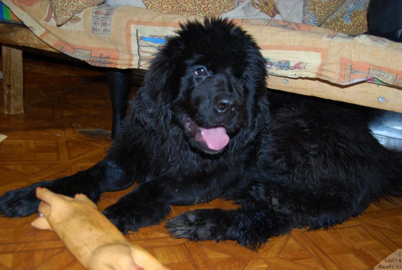 Фотография № 152080