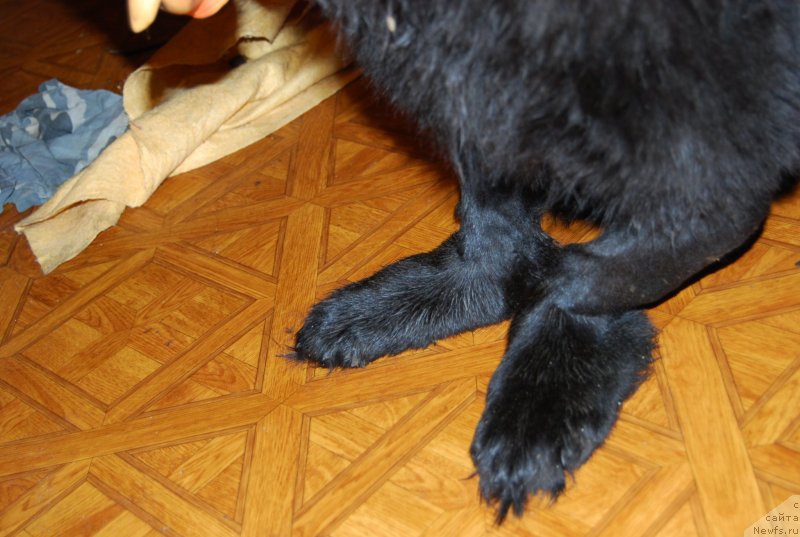 Фотография № 152087